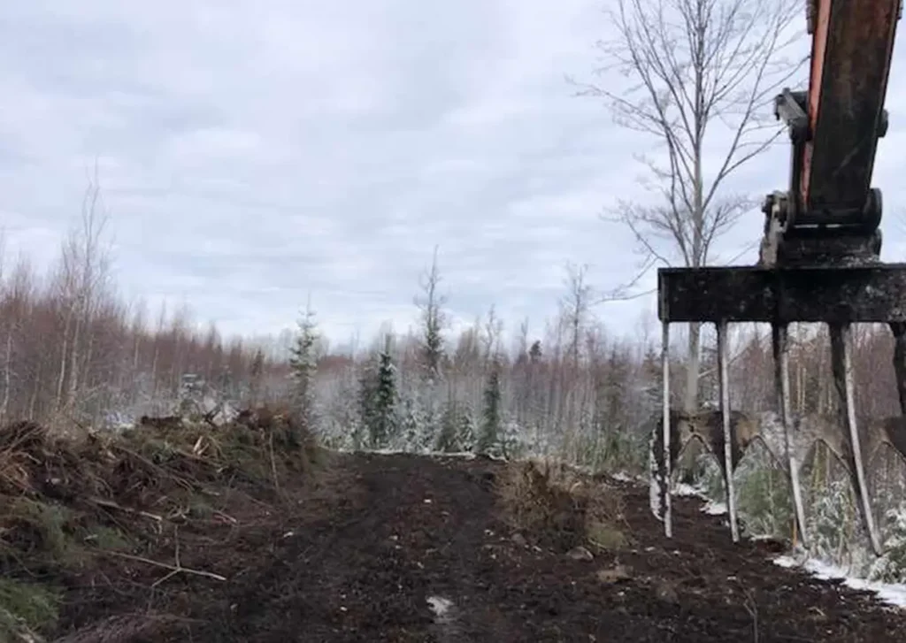 En Reb gravemaskin navigerer en grusvei i en skog.